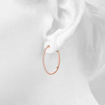 Load image into Gallery viewer, Earrings