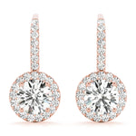 Load image into Gallery viewer, Earrings