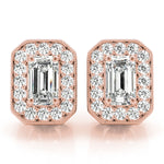 Load image into Gallery viewer, Earrings