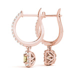 Load image into Gallery viewer, Earrings