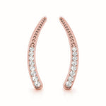 Load image into Gallery viewer, Earrings