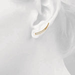 Load image into Gallery viewer, Earrings
