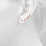 Load image into Gallery viewer, Earrings