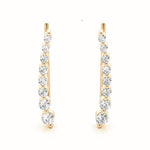 Load image into Gallery viewer, Earrings