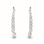 Load image into Gallery viewer, Earrings