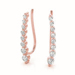 Load image into Gallery viewer, Earrings