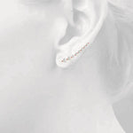 Load image into Gallery viewer, Earrings