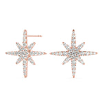 Load image into Gallery viewer, Earrings