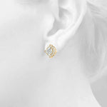 Load image into Gallery viewer, Earrings