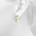 Load image into Gallery viewer, Earrings