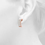 Load image into Gallery viewer, Earrings