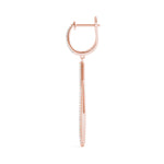 Load image into Gallery viewer, Earrings