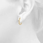 Load image into Gallery viewer, Earrings