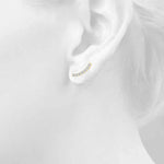 Load image into Gallery viewer, Earrings