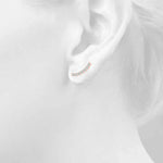 Load image into Gallery viewer, Earrings