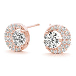 Load image into Gallery viewer, Earrings