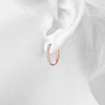 Load image into Gallery viewer, Earrings
