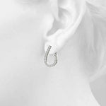 Load image into Gallery viewer, Earrings