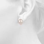 Load image into Gallery viewer, Earrings