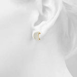 Load image into Gallery viewer, Earrings