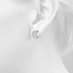 Load image into Gallery viewer, Earrings