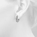 Load image into Gallery viewer, Earrings