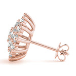 Load image into Gallery viewer, Earrings
