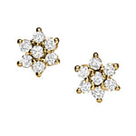Load image into Gallery viewer, Earrings
