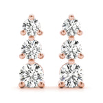 Load image into Gallery viewer, Earrings
