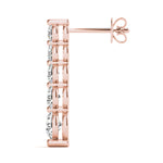 Load image into Gallery viewer, Earrings
