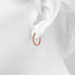 Load image into Gallery viewer, Earrings
