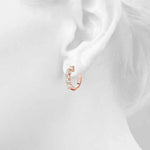 Load image into Gallery viewer, Earrings
