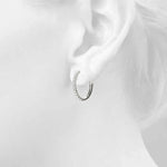Load image into Gallery viewer, Earrings
